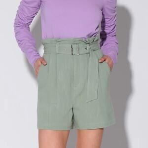 Walter‎ Baker High Waist Linen Shorts Size XL New Boho Preppy Vacay